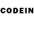 Псилоцибиновые грибы GOLDEN TEACHER Codruta Nechita
