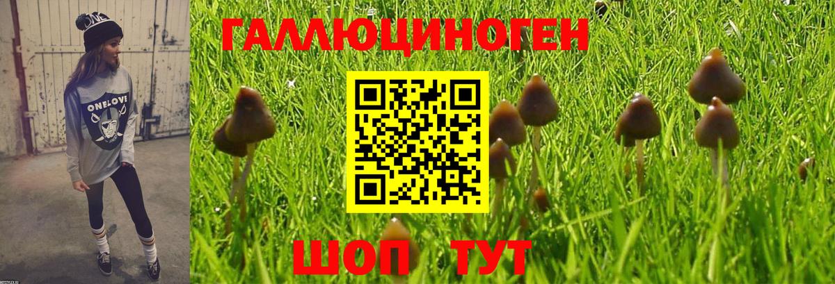 Галлюциногенные грибы Magic Shrooms  Вход с VPN  Уфа  Псилоцибиновые грибы Cubensis 