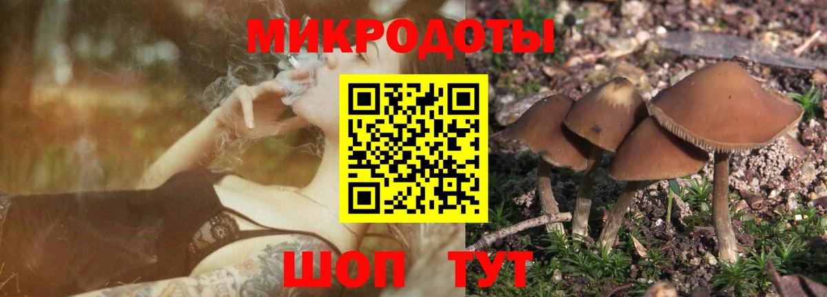Псилоцибиновые грибы мухоморы Уфа